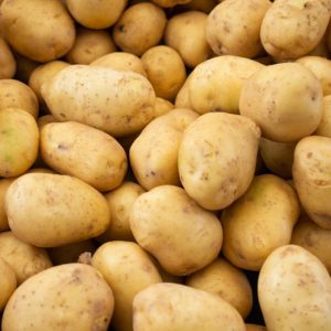 Solanum tuberosum, Potato, Irish Potato, White Potato, Underground Onion