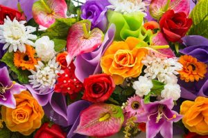 Types of flowers, Flower Types,  Flower Names, Pictures of Flowers, Pretty Flowers, Beautiful Flowers, Different Types of Flowers