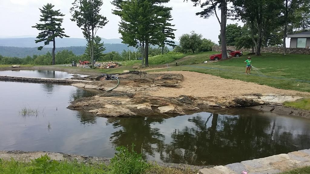 E C Brown's Nursery, Inc Gardenia