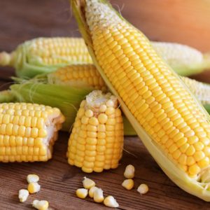 Zea mays, Corn, Sweet Corn, Sweetcorn, Popcorn, Baby Corn, Indian Corn, Field Corn, Dent Corn, Flint Corn, Guinea Wheat, Indian Corn, Maize, Mealies, Ornamental Maize, Turkey Wheat