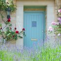Gardenia.net, Lavender, Roses