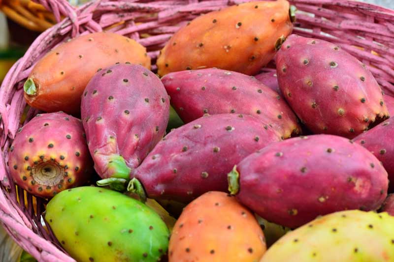 Prickly pear fruit