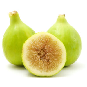 Fig, Common Fig, Italian Honey Fig, Lattarulla Fig, Ficus carica Lattarulla