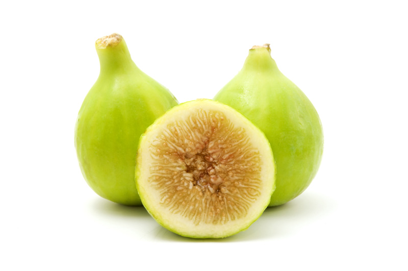 Fig, Common Fig, Italian Honey Fig, Lattarulla Fig, Ficus carica Lattarulla