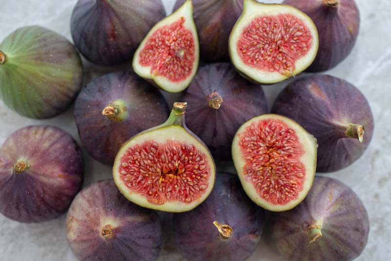 Fig, Common Fig, LSU Purple Fig, Ficus carica LSU Purple