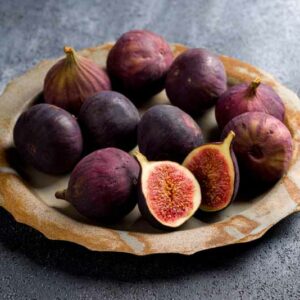 Fig, Common Fig, Ronde de Bordeaux Fig, Ficus carica Ronde de Bordeaux