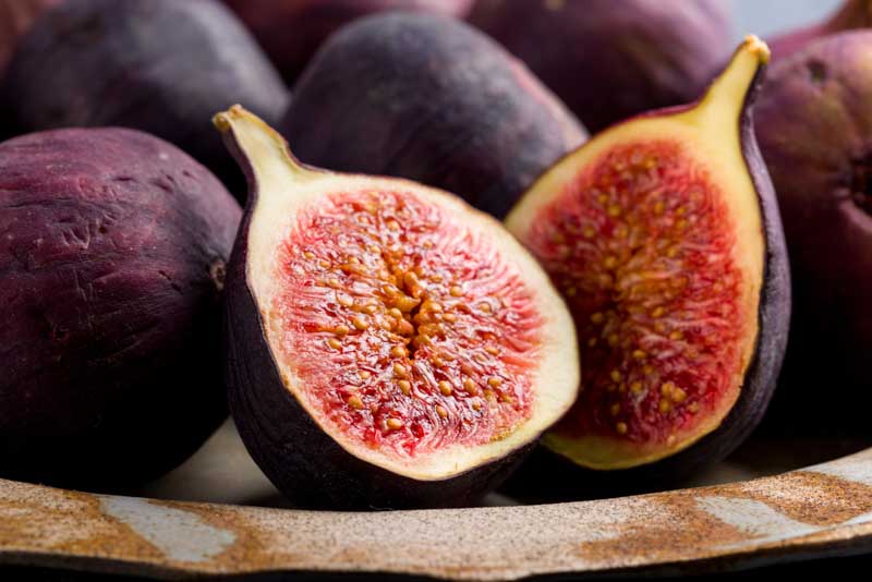 Fig, Common Fig, Violette de Bordeaux Fig, Negronne Fig, Ficus carica Violette de Bordeaux, Ficus carica Negronne