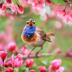 ARABIA エステリ ボタニカ\"Myosotis scorpioides\" ARABIA エステリ ボタニカ