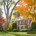 City Garden, Urban Garden, Front Yard, Oak Tree, Maple Tree,