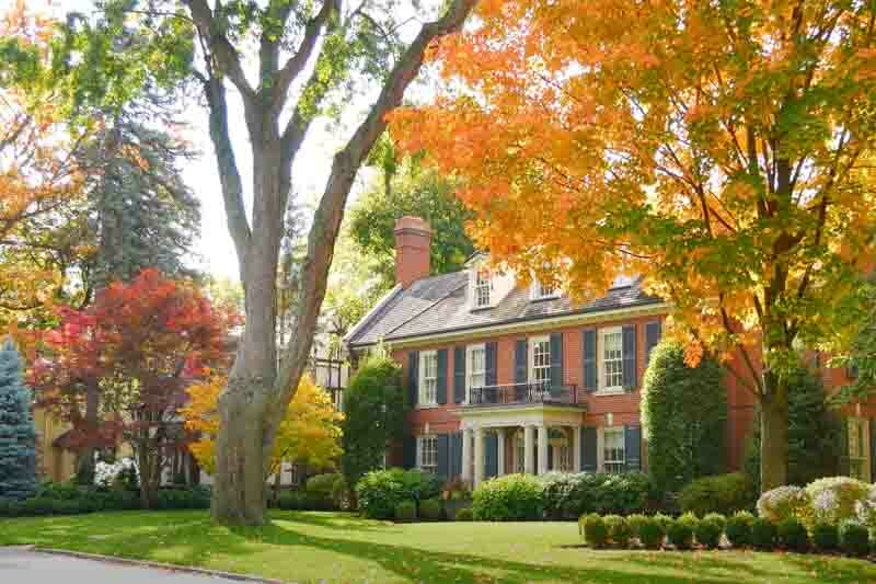 City Garden, Urban Garden, Front Yard, Oak Tree, Maple Tree,