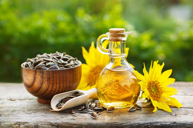 Sunflower, sunflower seeds nutrition, Sunflower Seeds, Sunflower Oil