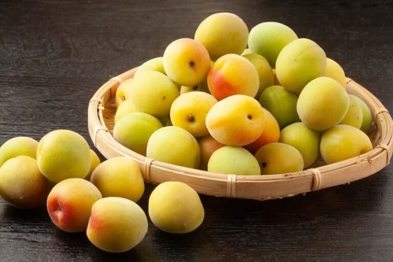 Prunus mume (Plum Blossom): All You Need To Know