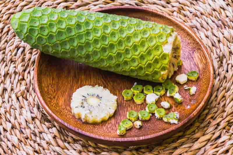 Monstera Deliciosa Swiss Cheese Plant Plant Care 101