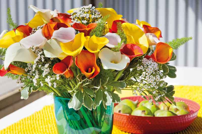 Calla Lily, Calla Lilies, Calla Ly Flower, Calla Lily Bouquet
