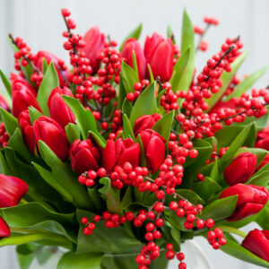 Red Tulips, Red Tulip, Tulips, Tulip, Spring Flower
