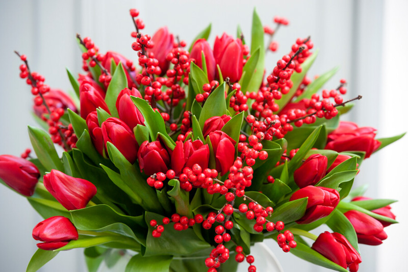 Red Tulips, Red Tulip, Tulips, Tulip, Spring Flower