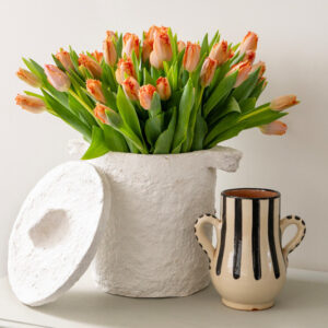 Tulips, Tulip, Tulip Flower, spring flowers, Tulip Bulbs