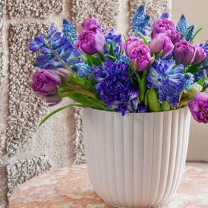 Purple Tulips, Purple Tulip, Tulips, Tulip, Spring Flowers