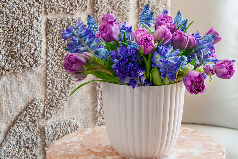 Purple Tulips, Purple Tulip, Tulips, Tulip, Spring Flowers