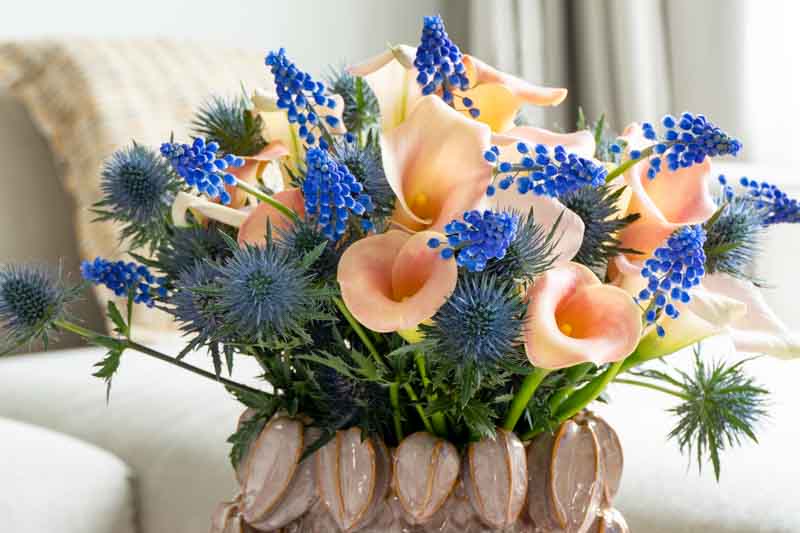 Calla Lily, Calla Lilies, Calla Ly Flower, Calla Lily Bouquet