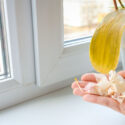 Orchid Flowers, Orchid Flowers Falling, Dried Orchid Flowers