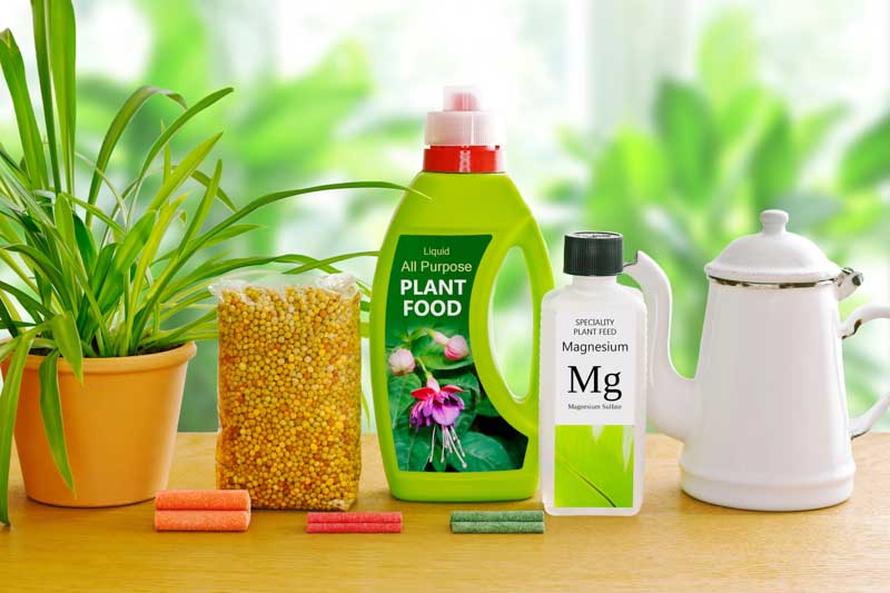 Fertilizer, Fertiliser, Fertilization, Fertilisation