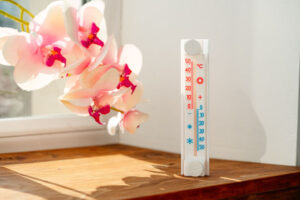 Orchid Leaves Turning Yellow? Reasons and Remedies