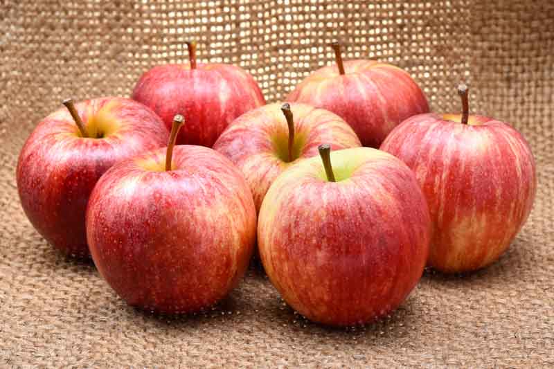 Apple, Apples, Fruit, Fruits