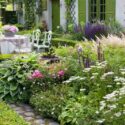 Garden Ideas, Border ideas, Perennial Planting, Perennial combination, Summer Borders, Salvia Caradonna, Astilbe Detuschland, Geranium Rozanne, Geranium Sanguineum, Hosta crispula