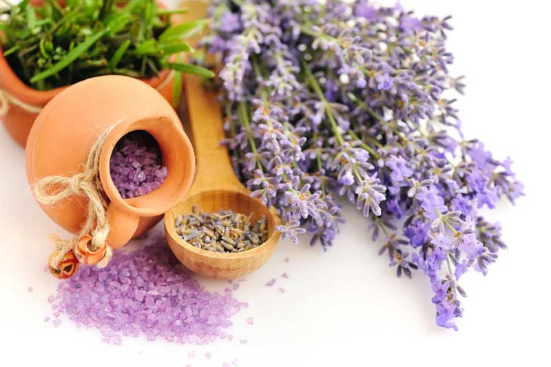 Lavender Flowers, Lavender Buds, Dried Lavender