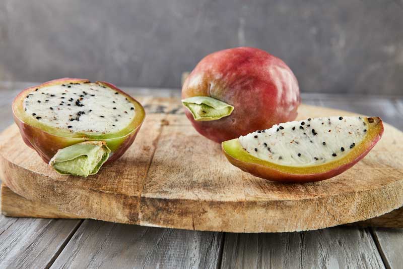 Peruvian Apple Cactus, Cereus repandus, Cerus peruvianus, Cactus, Cactus Fruit, Edible Cactus