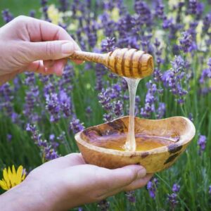 Lavender Syrup, How to make Lavender Syrup, Lavender Flowers, Lavender Plants, Lavender Benefits
