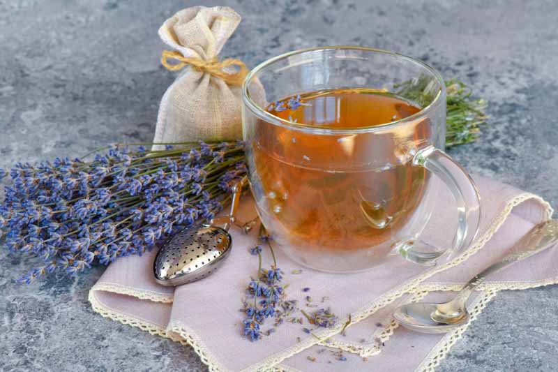 Lavender Tea, How to make Lavender Tea, Lavender Flowers, Lavender Plants, Lavender Benefits