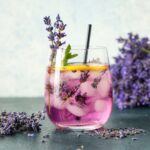 Lavandula angustifolia 'Ellagance Pink' (English Lavender)