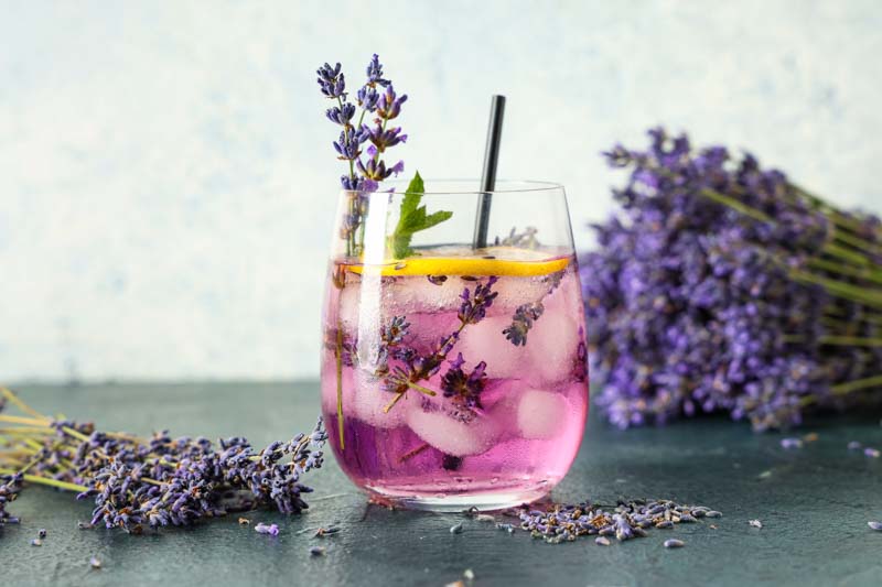 Lavender Lemonade, How to make Lavender Lemonade, Lavender Flowers, Lavender Plants, Lavender Benefits