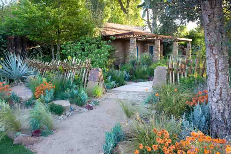 Senecio Serpens, Stipa tenuissima, Erysimum 'Apricot Twist', Agave, Rosmarinus Officinalis (rosemary), and Dasylirion wheeleri 