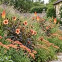 Naturalistic Cottage Garden Border