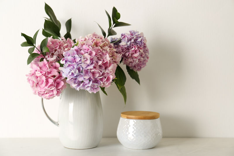 Hydrangea Bouquet, Hydrangea Flowers, Hydrangea, Drying Hydrangeas