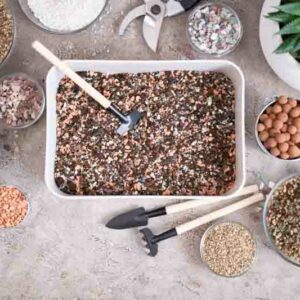 Succulent Soil, Potting Mix, Coco coir, Pine bark, Perlite, Pumice, Gravel