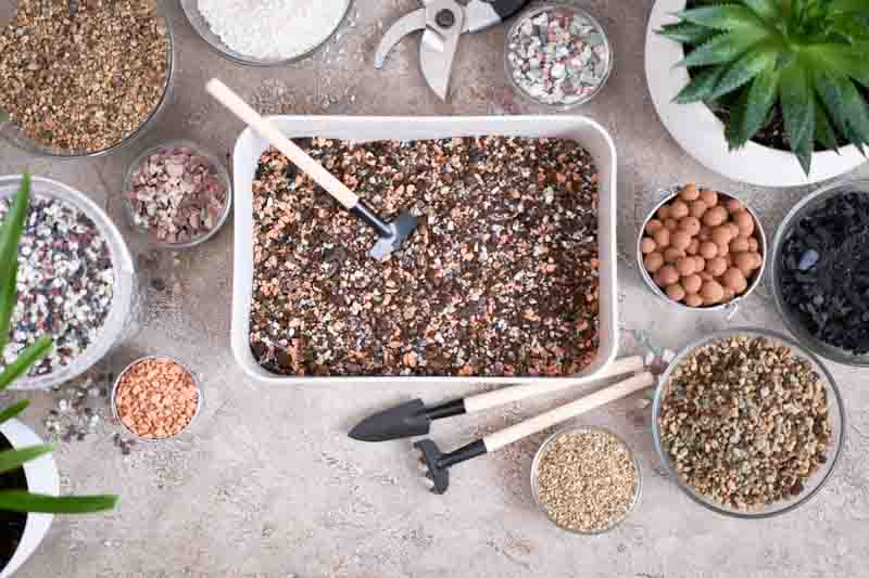 Succulent Soil, Potting Mix, Coco coir, Pine bark, Perlite, Pumice, Gravel