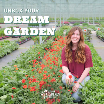 Great Garden Plants Banner