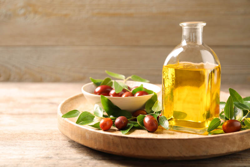 Jojoba, Simmondisa chinensis, desert shrub, Jojoba oil