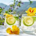 Edible Flowers, Edible Flowers for Cocktails, Lemonade, nasturtium, lime, mint