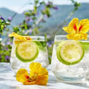Edible Flowers, Edible Flowers for Cocktails, Lemonade, nasturtium, lime, mint