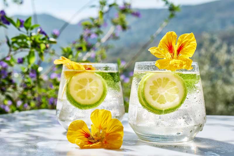 Edible Flowers, Edible Flowers for Cocktails, Lemonade, nasturtium, lime, mint