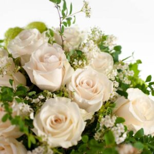 White Roses, White Rose, Roses, Roses