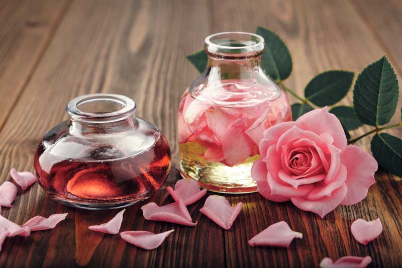 Rose Water, Rose Water for Face, Rose Water for Hair, Rose Water Benefits, Rose Water for Cooking