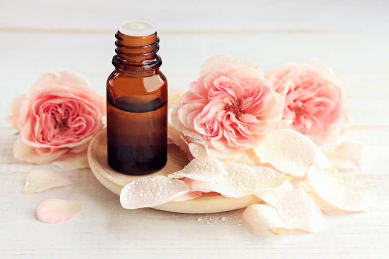 Rose Aromatherapy, Essential Oil, Rose Perfume, Rose Petals, Pink Rose, Pink Roses