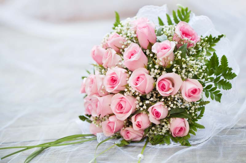 Pink Roses Meaning, Pink Rose, Pink Roses, Rose Bouquet, Wedding Bouquet, Bridal Bouquet, Rose, Roses