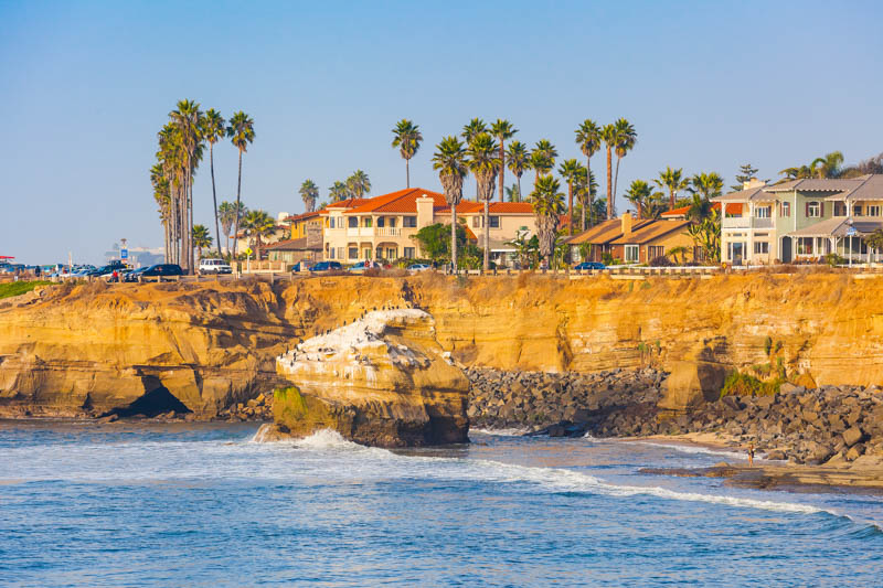 Mexican fan palm, Palm Tree, Palm Trees, Beach Coastline, San Diego, Washingtonia robusta